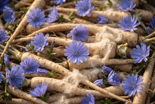 Chicory Root Fiber